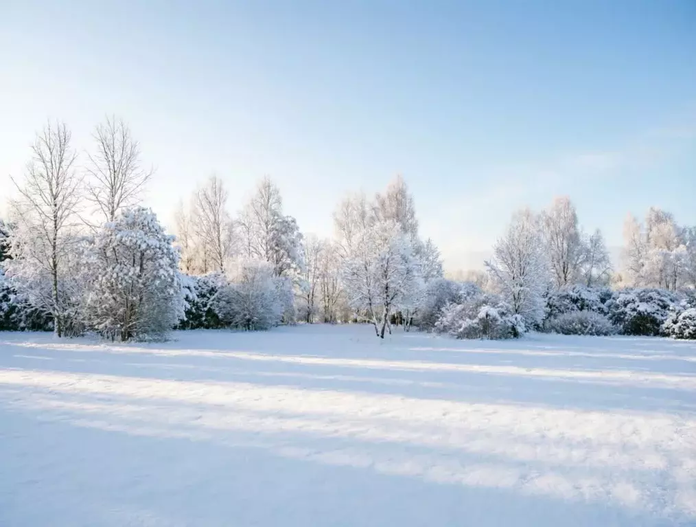 Участок в Калужская область, Боровский муниципальный округ, д. ... - Фото 1