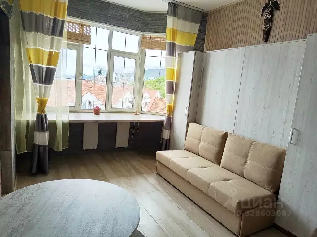 Студия Краснодарский край, Сочи ул. Ленина, 290/7к1 (26.0 м) - Фото 1