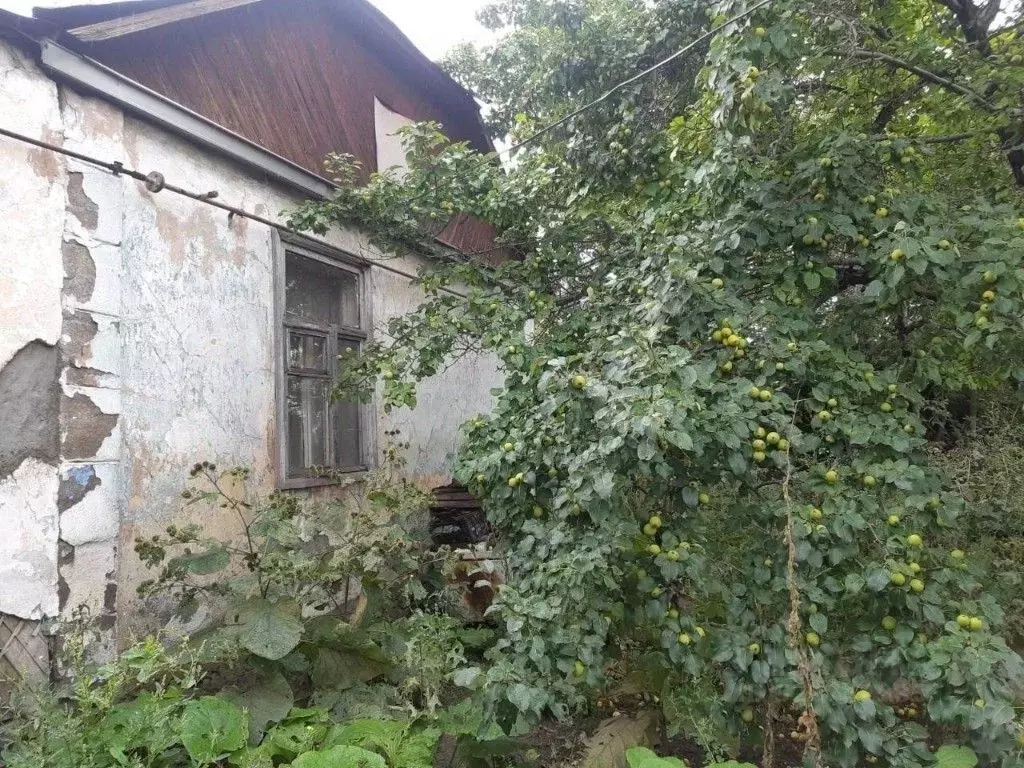 Дом в Челябинская область, Магнитогорск Планерная ул., 45 (59 м) - Фото 1