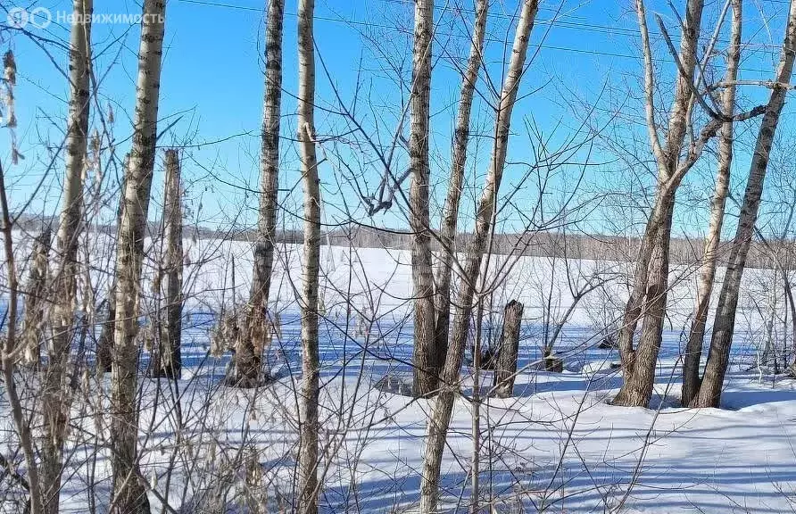 Участок в село Пушкино, улица Ленина (15 м) - Фото 1