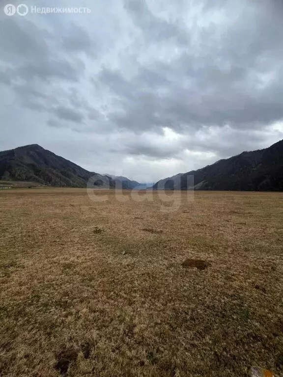 Участок в Чемальский район, село Куюс (10 м) - Фото 0