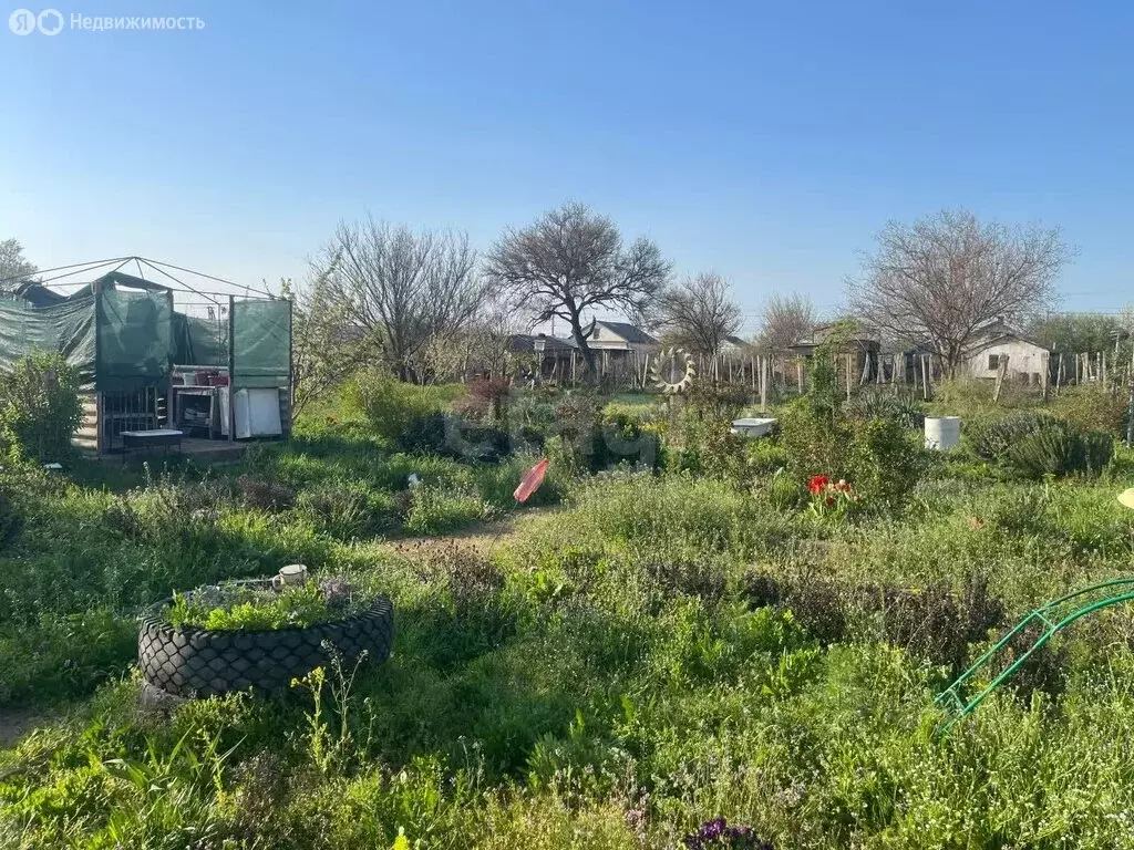 Дом в Крымское, Виноградная улица (53 м) - Фото 2