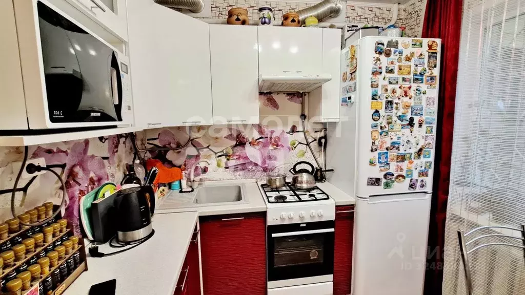 1-к кв. Калужская область, Калуга ул. Гурьянова, 37 (30.4 м) - Фото 2