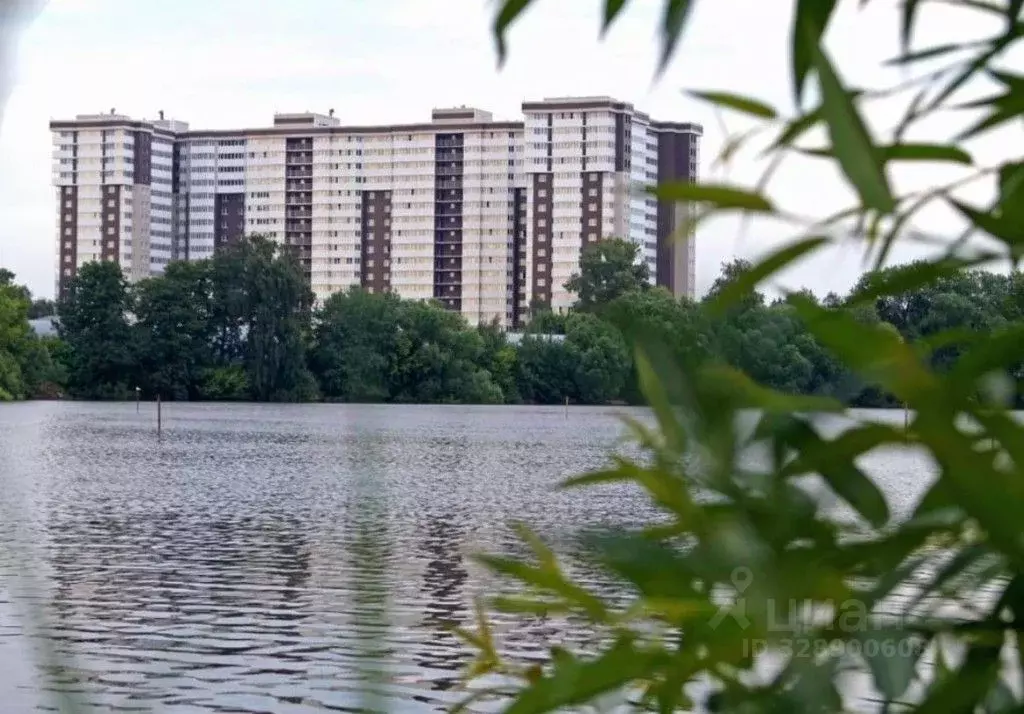 Помещение свободного назначения в Московская область, Старая Купавна ... - Фото 1