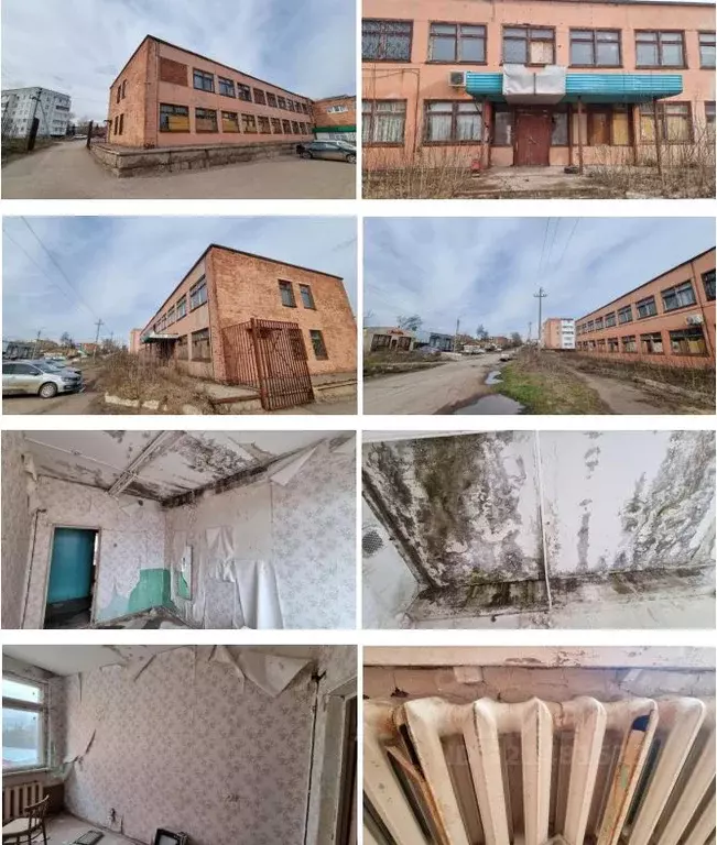 Помещение свободного назначения в Татарстан, Бугульма ул. Карла ... - Фото 0