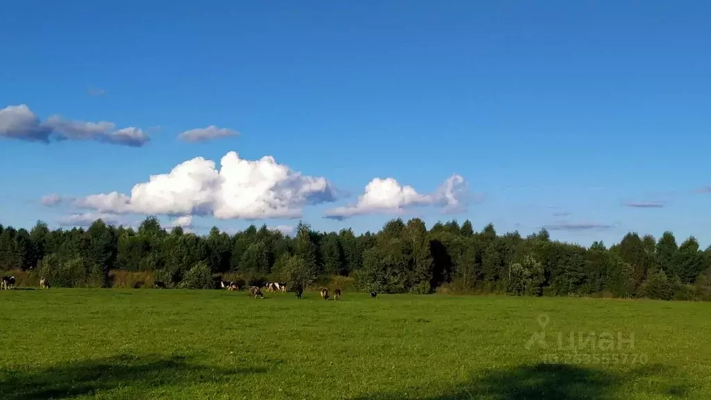 Участок в Тверская область, Калининский муниципальный округ, д. ... - Фото 0