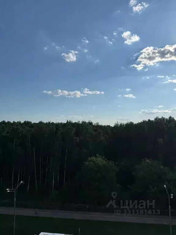 1-к кв. Московская область, Домодедово Западный мкр, ул. Лунная, 31 ... - Фото 1