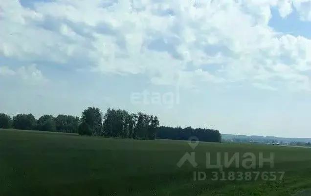 Участок в Курганская область, Далматовский муниципальный округ, с. ... - Фото 0