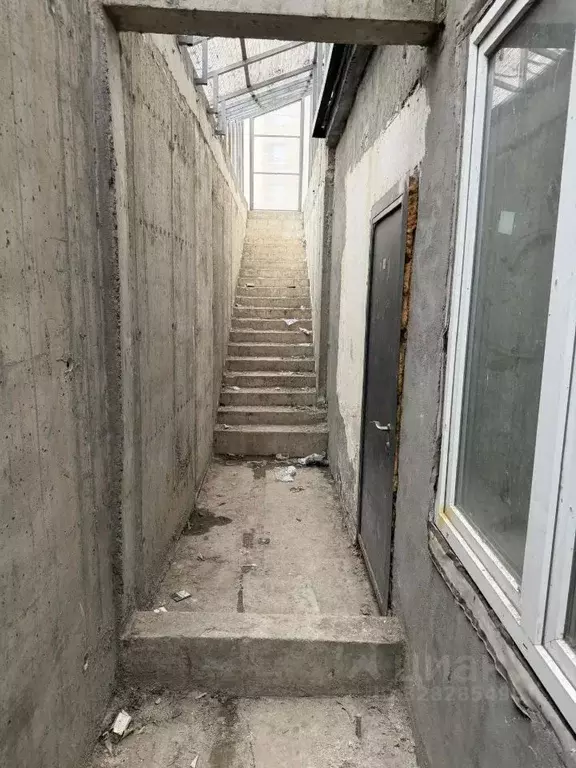 Помещение свободного назначения в Московская область, Люберцы ул. Льва ... - Фото 2