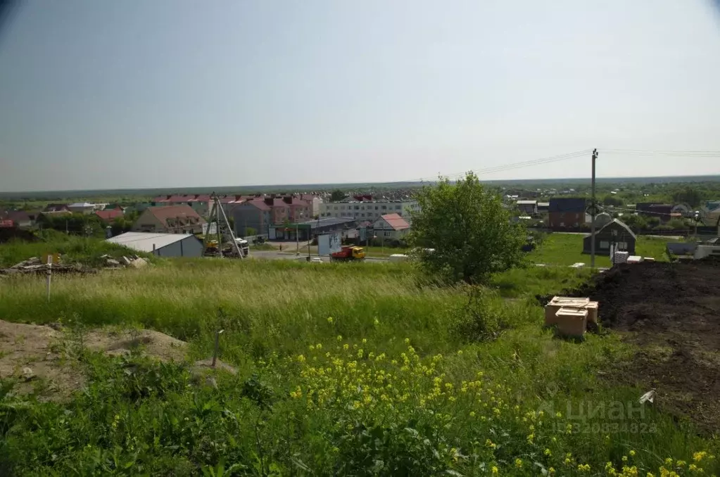 Участок в Пензенская область, Бессоновский район, с. Ухтинка  (11.84 ... - Фото 0