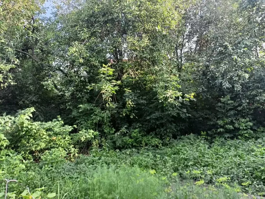 Дом в Московская область, Коломна ул. Льва Толстого, 15 (90 м) - Фото 1