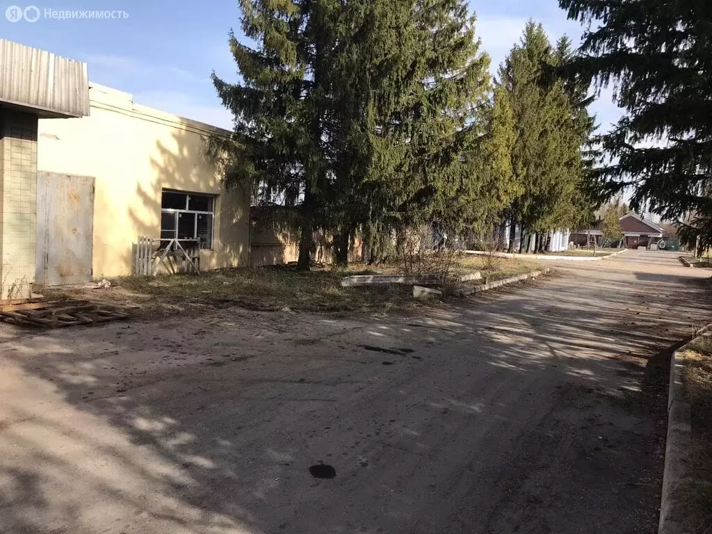 Помещение свободного назначения (2500 м) - Фото 2