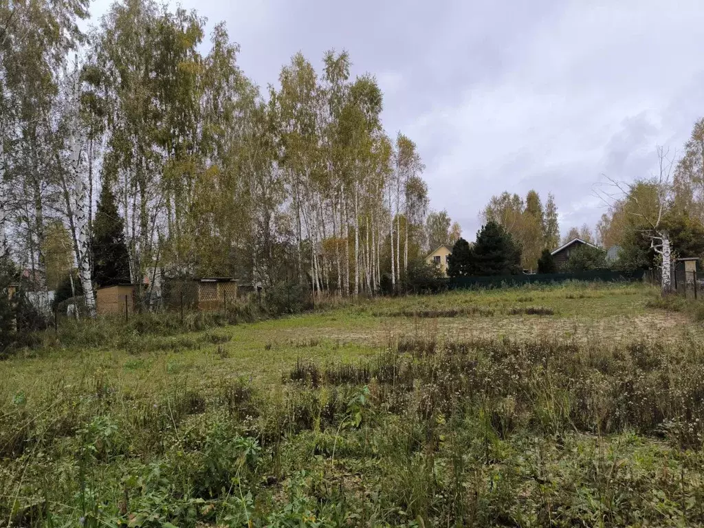 Участок в Московская область, Раменский городской округ, с. Речицы ул. ... - Фото 0