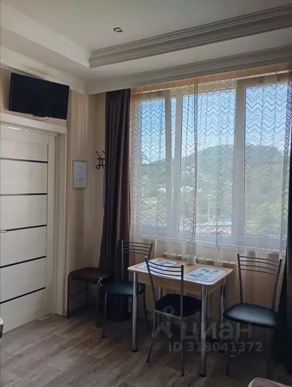 Студия Краснодарский край, Сочи ул. Иванова Поляна, 11/2 (22.0 м) - Фото 1