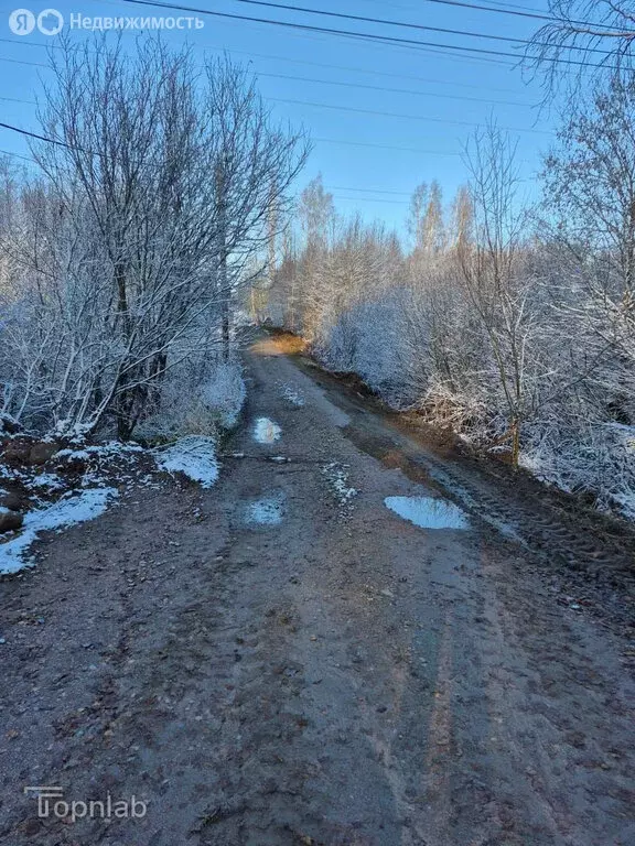 Участок в Выборгский район, Первомайское сельское поселение, СНТ ... - Фото 1