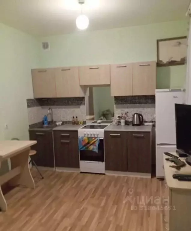 Студия Новосибирская область, Новосибирск Дивногорский мкр, ул. ... - Фото 0