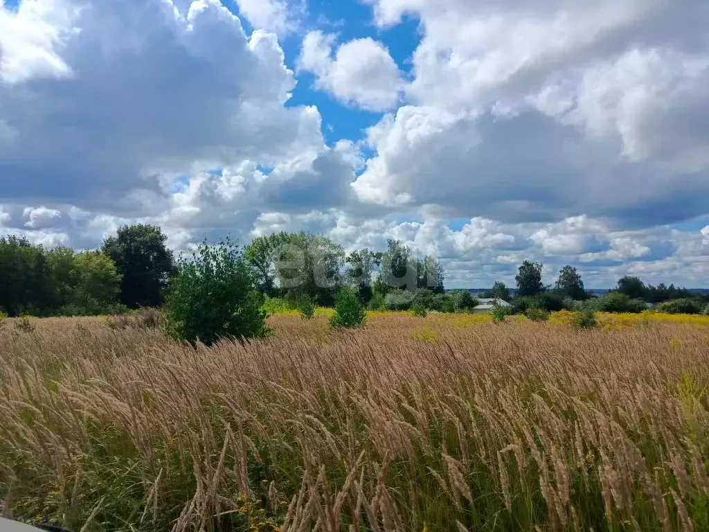 Участок в Тульская область, Щекинский район, Лазаревское с/пос, д. ... - Фото 1