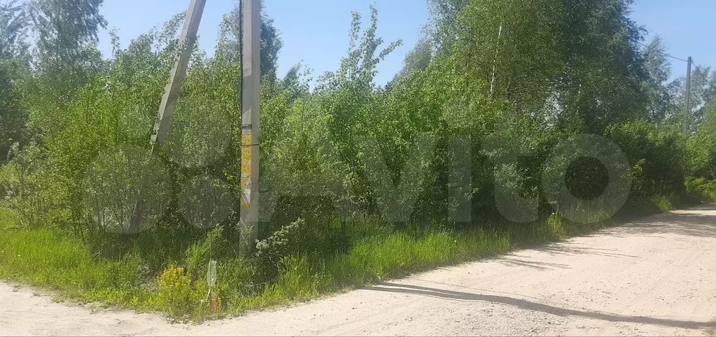 Участок 15 сот. (ИЖС) - Фото 1