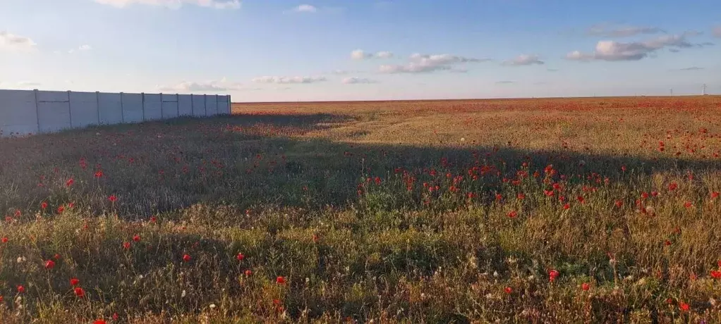 Участок в Крым, Сакский район, с. Суворовское ул. Северная, 9 (8.0 ... - Фото 0