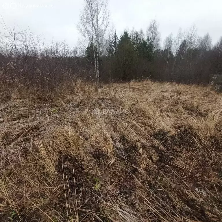Участок в Владимирская область, Собинский муниципальный округ, деревня ... - Фото 1