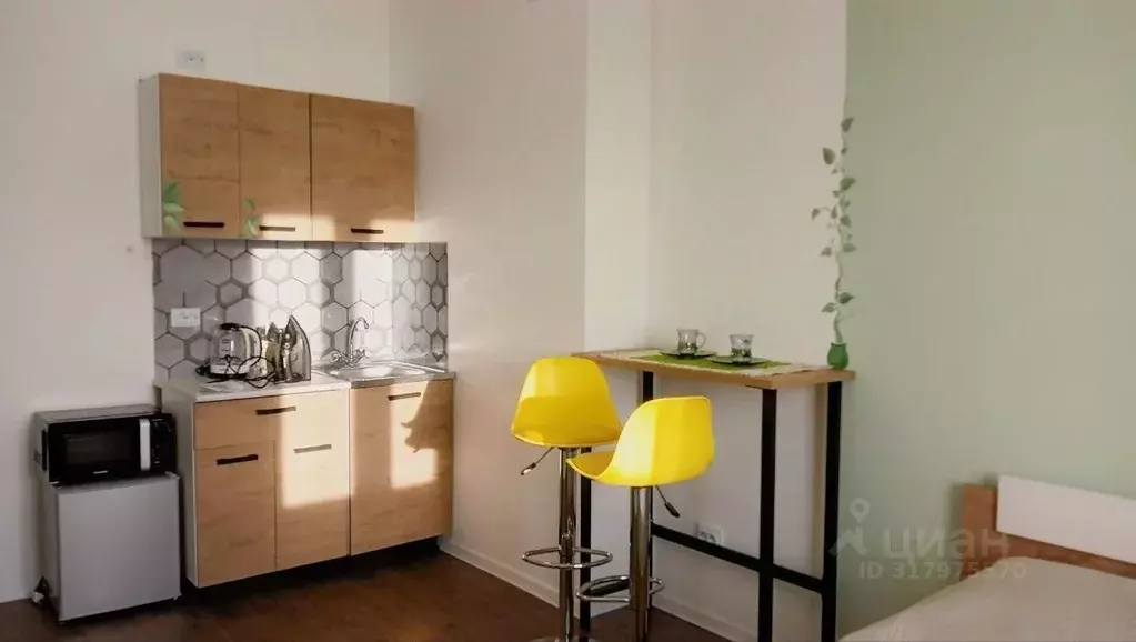 Студия Санкт-Петербург ул. Пейзажная, 24к2 (25.0 м) - Фото 0