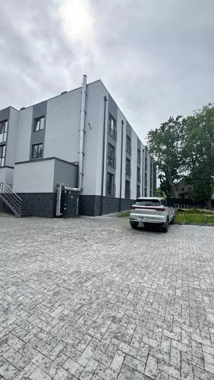 Студия Калининградская область, Зеленоградский муниципальный округ, ... - Фото 1