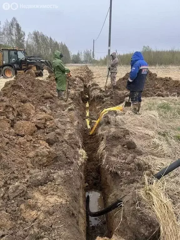 Участок в Ярославская область, Даниловский муниципальный округ, ... - Фото 2
