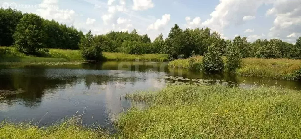 Участок в Владимирская область, Судогодский муниципальный округ, ... - Фото 1