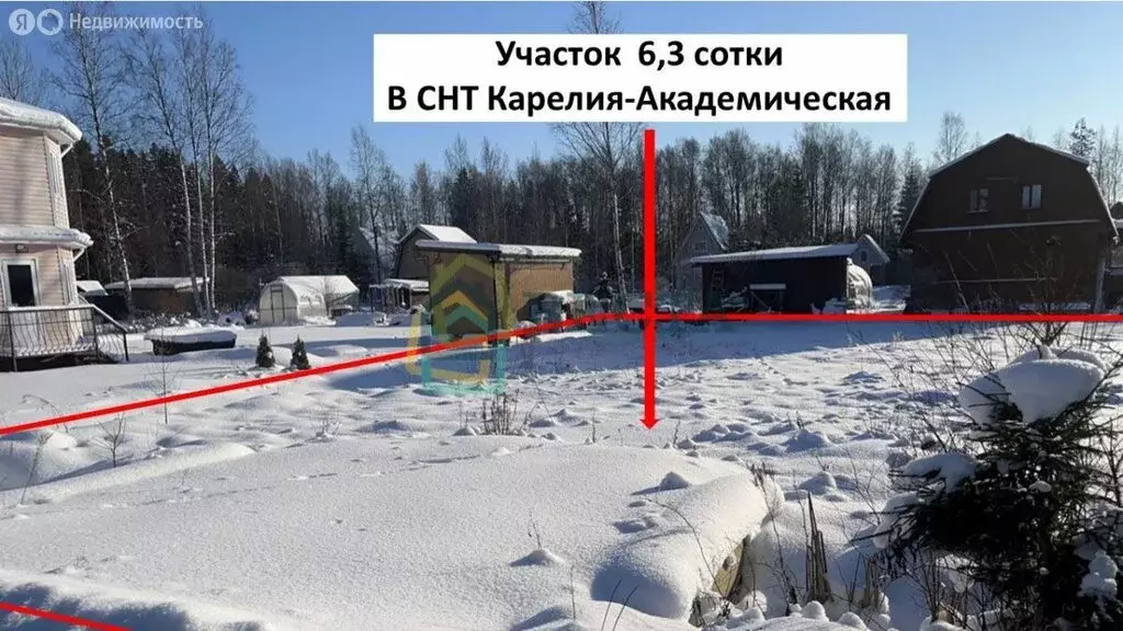 Участок в Выборгский район, Рощинское городское поселение, СНТ Карелия ... - Фото 1