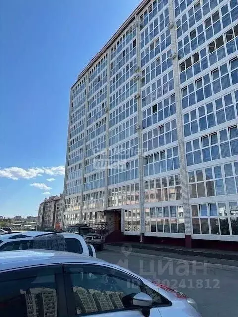 Студия Амурская область, Благовещенский район, с. Чигири ул. ... - Фото 1