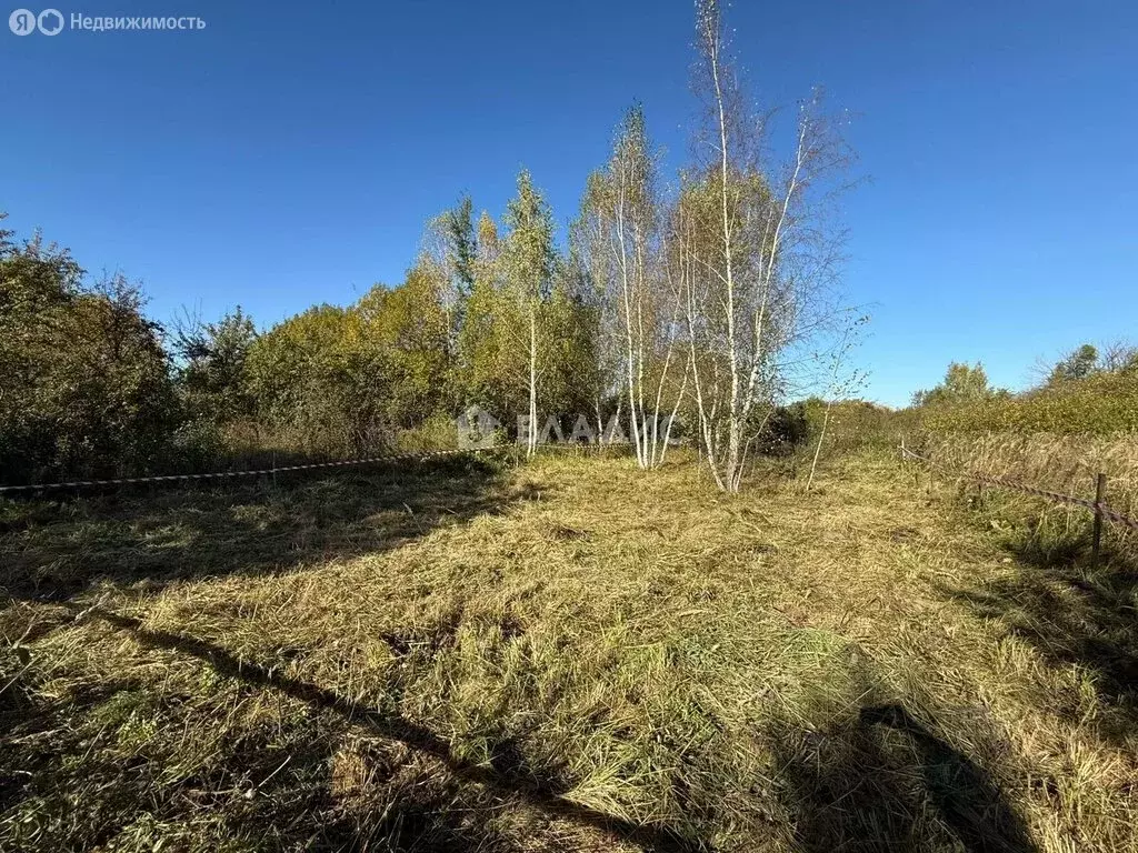 Участок в Луховицы, садовое товарищество Лужок (6 м) - Фото 1