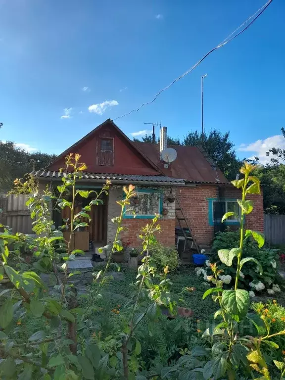 Дом в Белгородская область, Шебекинский городской округ, с. Крапивное ... - Фото 1