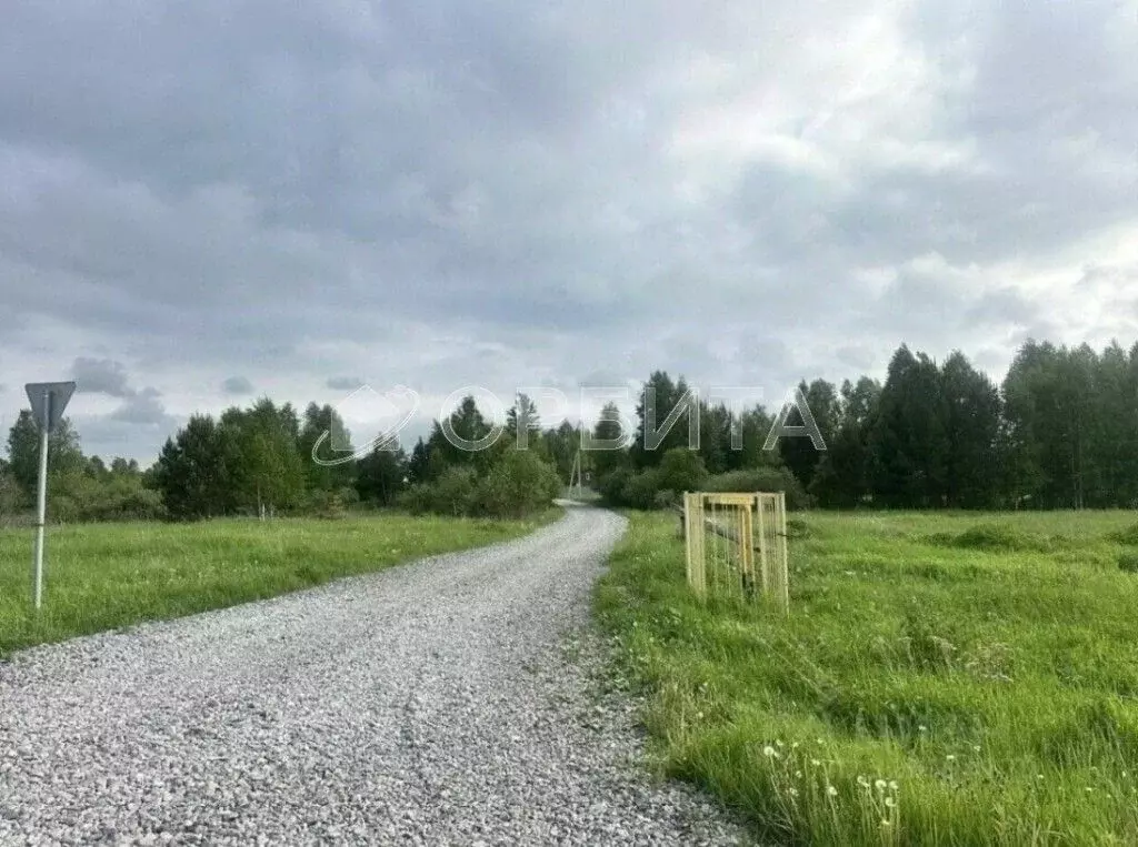 Участок в Тюменская область, Нижнетавдинский муниципальный округ, д. ... - Фото 1