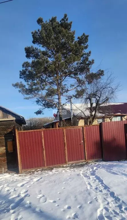 Дом в Еврейская автономная область, Смидовичский район, с. ... - Фото 2