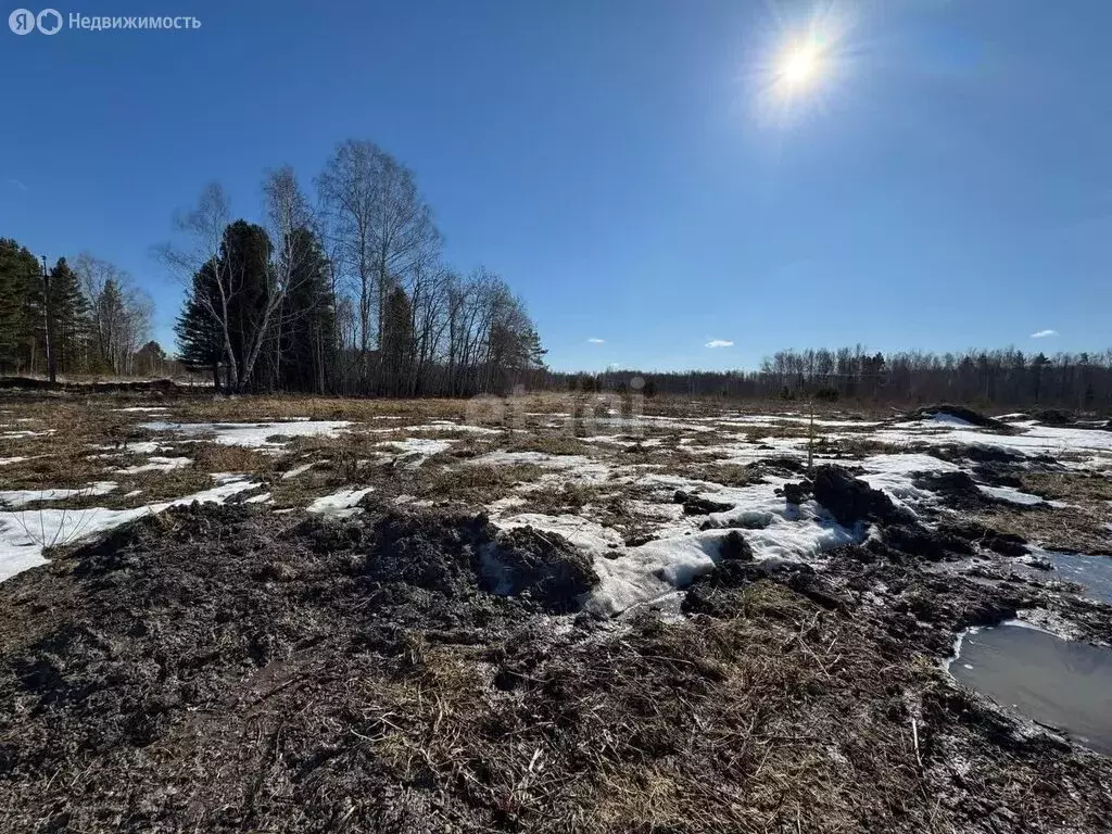 Участок в Томский район, ДНП Слобода Вольная, Миллионная улица (17 м) - Фото 0