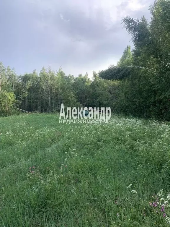 Участок в Ленинградская область, Приозерский район, Плодовское с/пос, ... - Фото 1