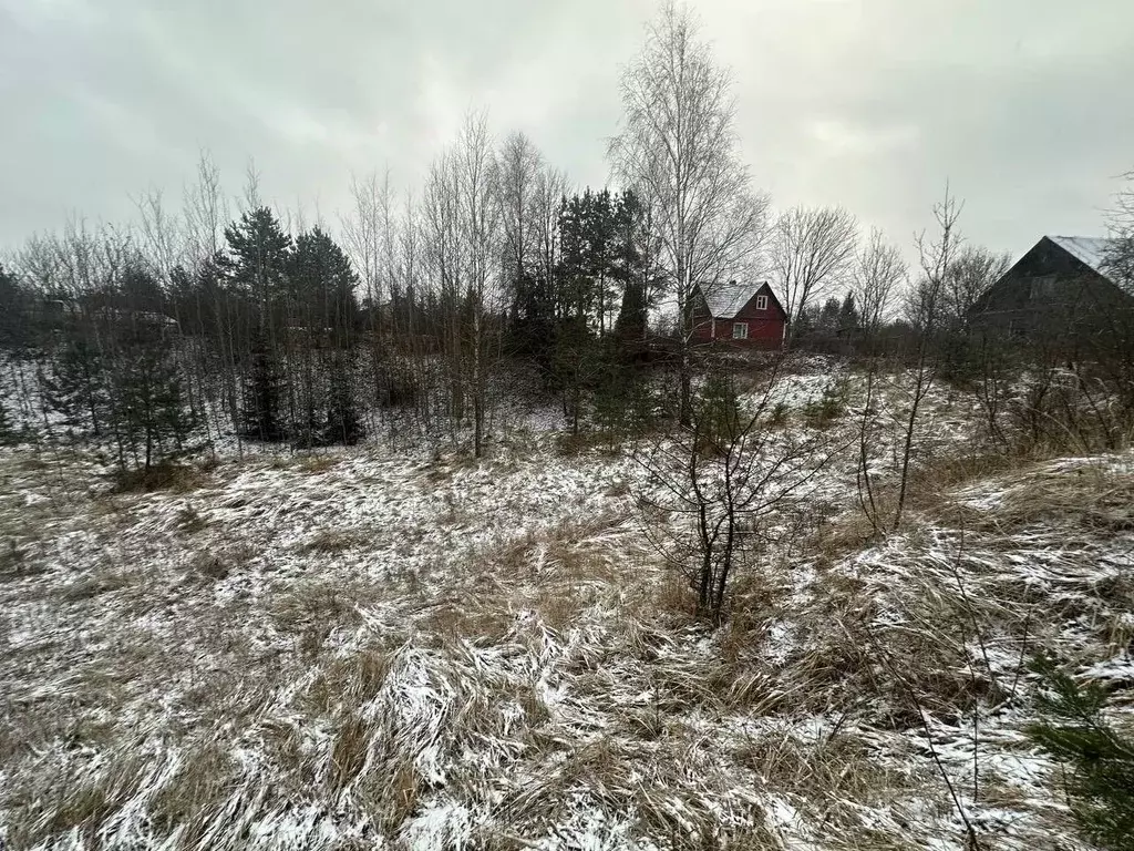 Участок в Московская область, Рузский муниципальный округ, д. ... - Фото 2