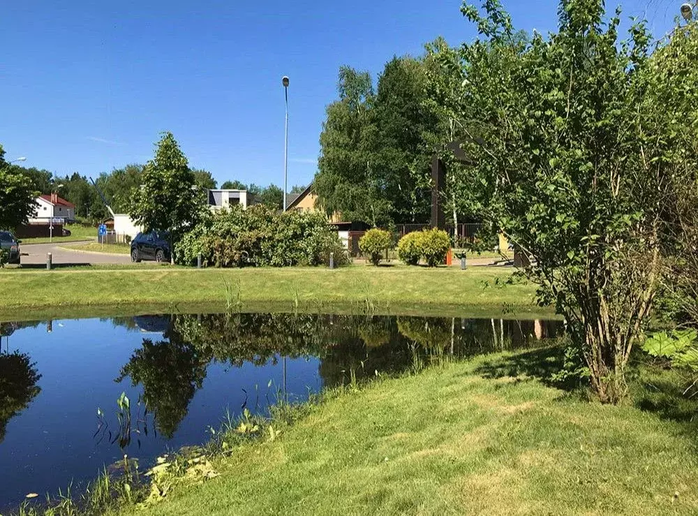 Участок в Московская область, Солнечногорск городской округ, Лисичкин ... - Фото 1