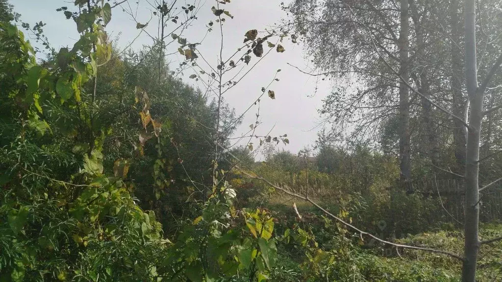 Участок в Московская область, Талдомский городской округ, Запрудня пгт ... - Фото 1