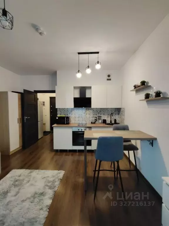 Студия Ленинградская область, Мурино Всеволожский район, просп. ... - Фото 1