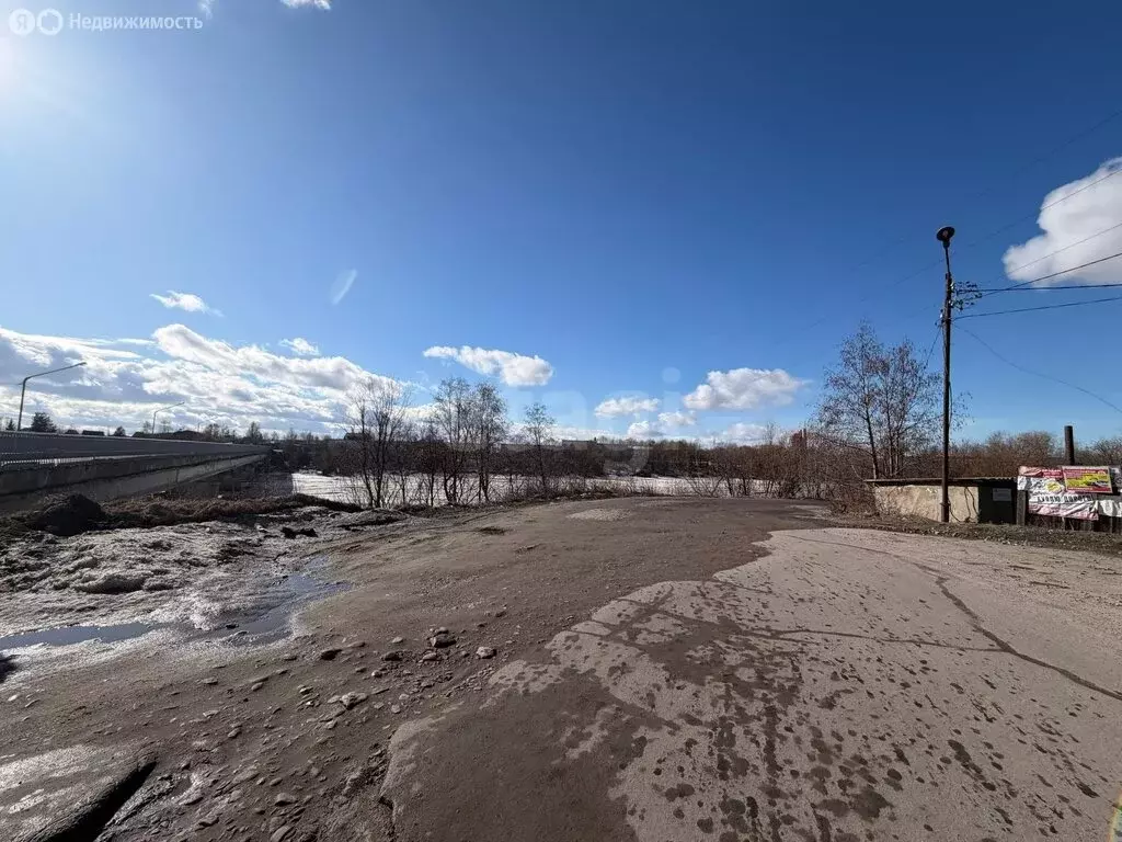 Участок в Архангельская область, Приморский муниципальный округ, СНТ ... - Фото 2