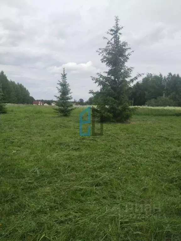 Участок в Московская область, Клин городской округ, д. Грешнево  ... - Фото 1