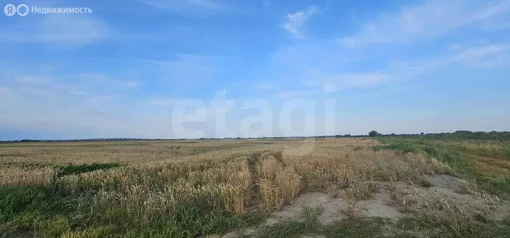 Участок в Краснострельское сельское поселение, посёлок Закубанский ... - Фото 2