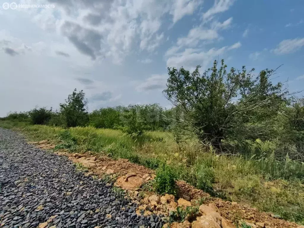 Участок в Родионово-Несветайский район, Кутейниковское сельское ... - Фото 0