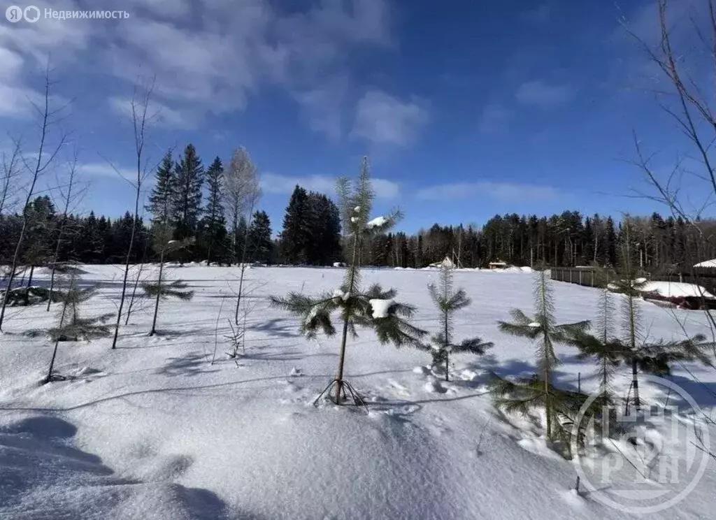 Участок в Кировский район, Синявинское городское поселение, ... - Фото 2