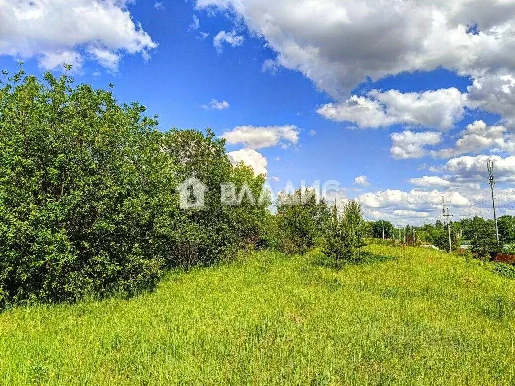 Участок в Московская область, Раменский муниципальный округ, д. ... - Фото 2