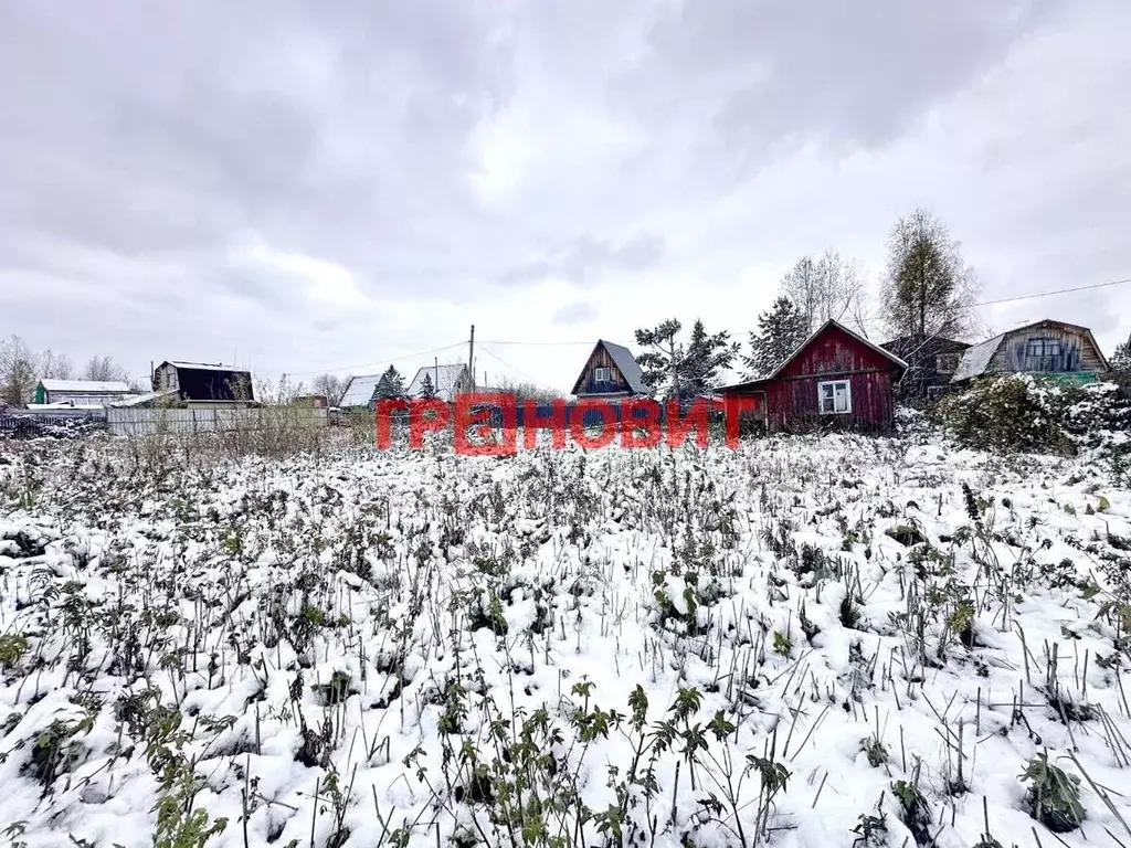 Участок в Новосибирская область, Искитимский район, Мичуринский ... - Фото 2