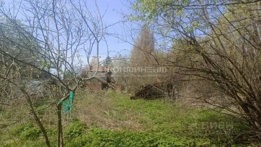 Участок в Владимирская область, Суздальский район, Павловское ... - Фото 1