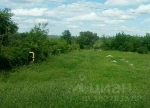 Участок в Белгородская область, Белгородский район, Беловское с/пос, ... - Фото 1