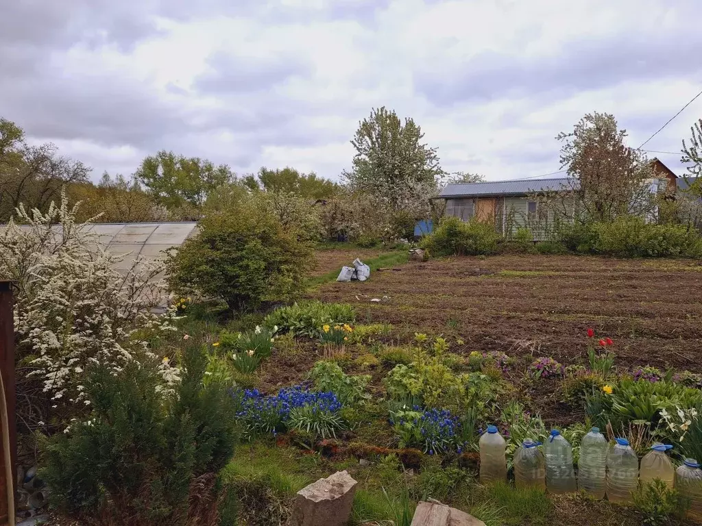 Участок в Владимирская область, Суздальский район, Павловское ... - Фото 1